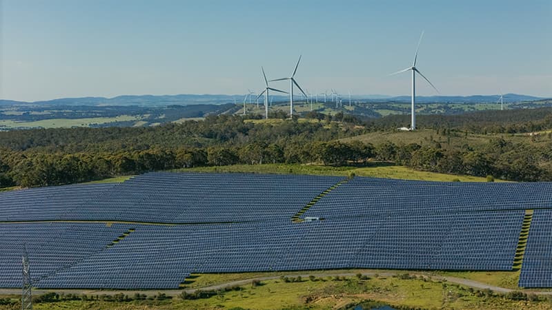 The Solar Talent Behind Australias PV Boom